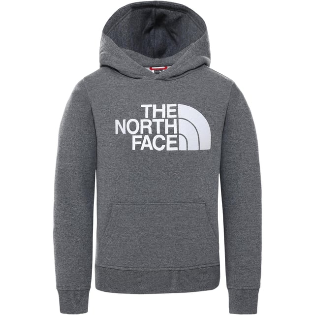 North face embroidered hoodie 2025